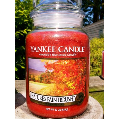 Yankee Candle Retired Original "NATURE'S PAINTBRUSH" Large 22 oz~WHITE LABEL~NEW   123311873751